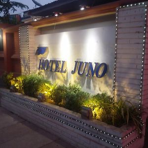 Hotel Juno